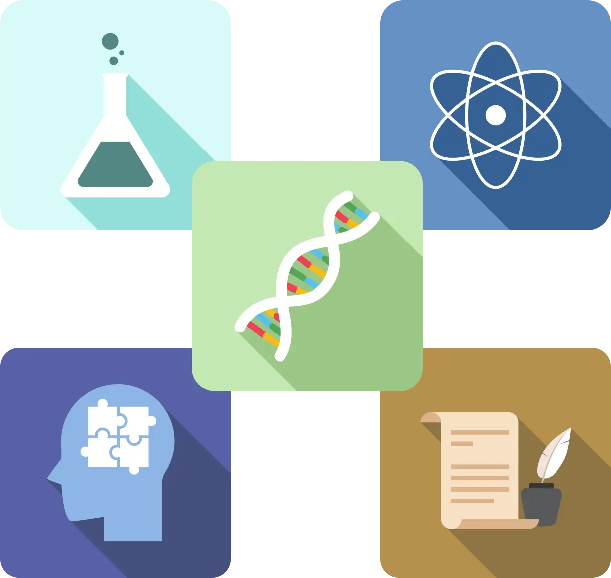 Explore Brazil’s top universities and their ENEM score requirements. Discover course options and career possibilities.